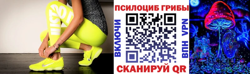 Псилоцибиновые грибы мицелий Тырныауз